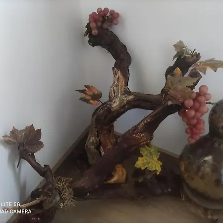 Casa Do Trovao - Douro