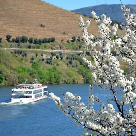 Casa Do Trovao - Douro Hébergement de vacances *