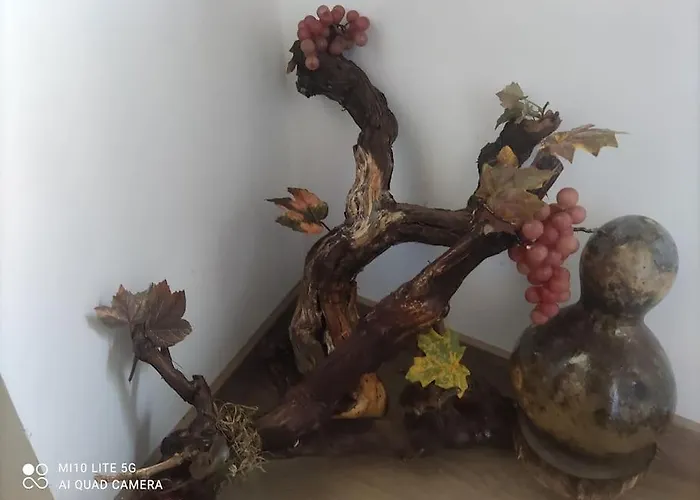 Casa Do Trovao - Douro