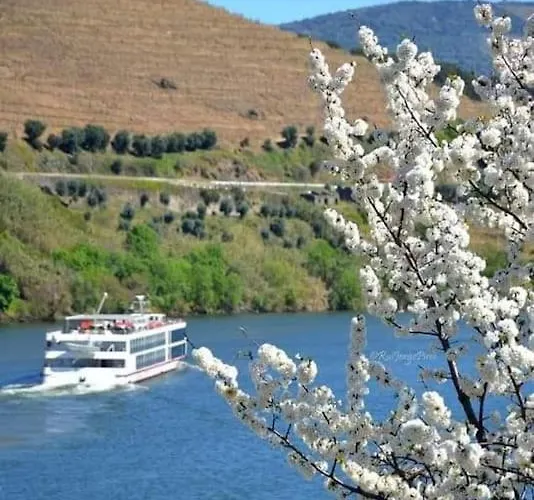 Casa Do Trovao - Douro Hébergement de vacances *